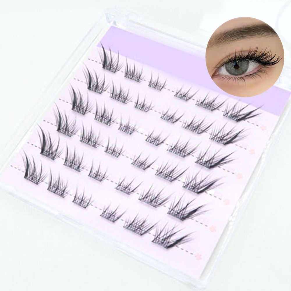 New 3D Cat Eye Self Adhesive L - Eyelash Extension Fox Eye review and price