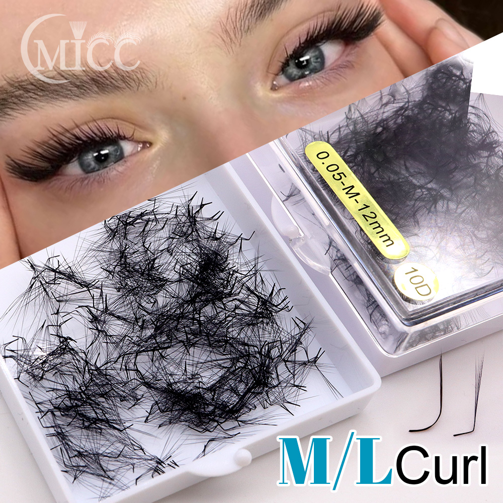 500 Fans 6D 6mm 10D M L Specia - Eyelash Extension Fox Eye review and price
