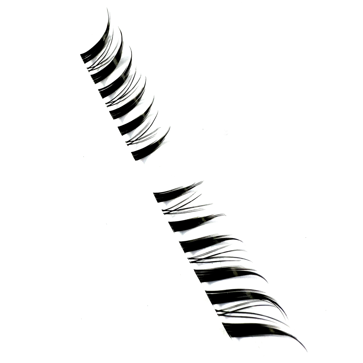 10 Rows Segmented Lashes Fox F - Eyelash Extension Fox Eye review and price